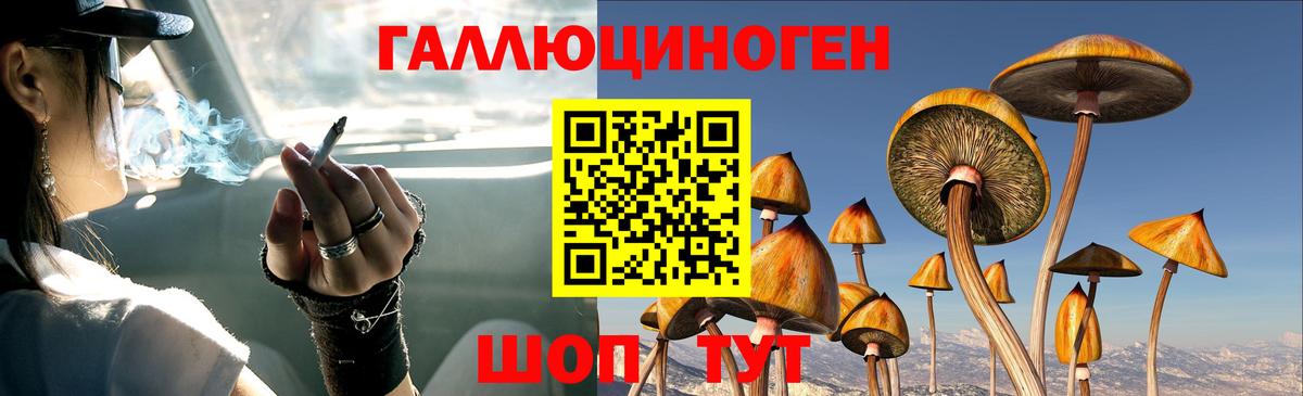Галлюциногенные грибы мухоморы Курчалой